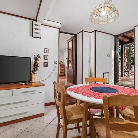 Camelia & Martina 3*